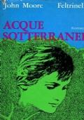 Acque Sotterranee