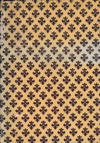 Caterina II di Russia - K. Waliszewski - copertina