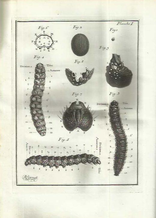 Laboratorio del libro