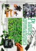 Plantes Aromatiques - copertina