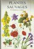 Plantes sauvages - copertina