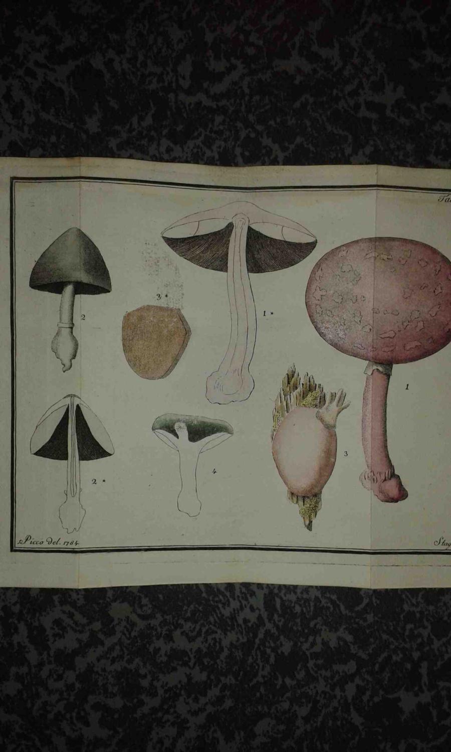 Laboratorio del libro