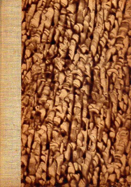 Laboratorio del libro