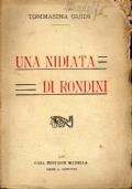 Una nidiata di rondini