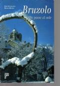 Bruzolo, un paese al sole - copertina