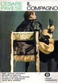Il compagno