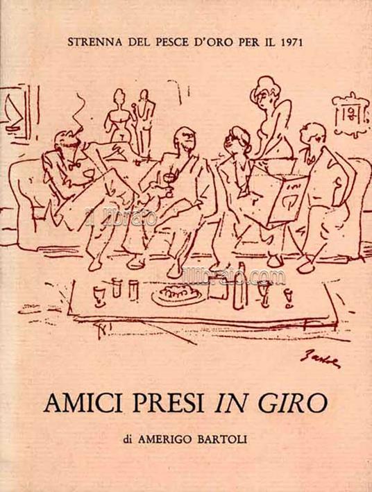 Amici presi in giro - copertina