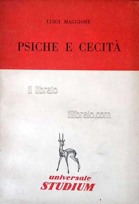 Psiche e cecità - copertina