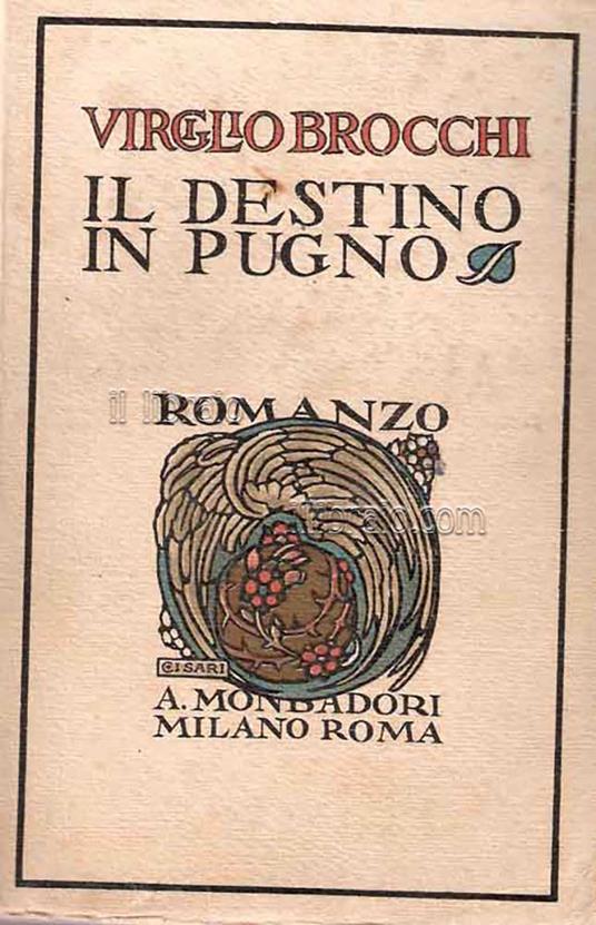 Il destino in pugno - copertina