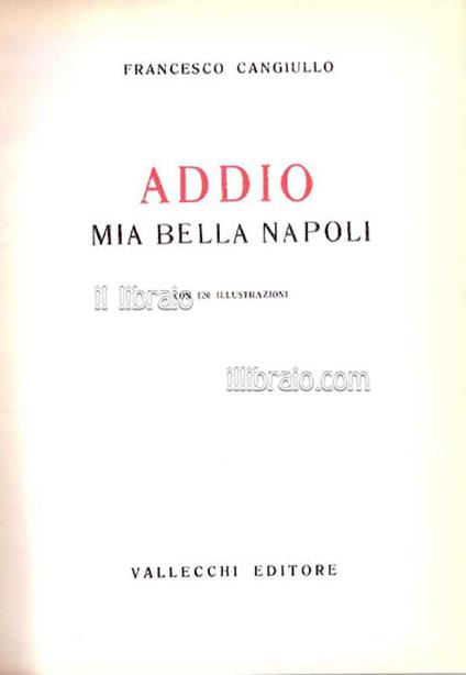 Addio mia bella Napoli - copertina