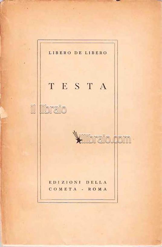 Testa - copertina
