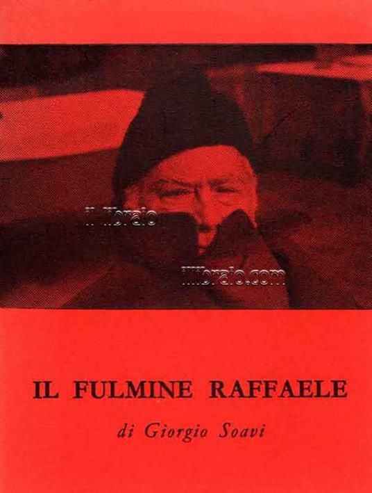 Il fulmine Raffaele - copertina