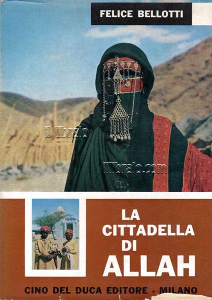 La cittadella di Allah. Viaggio nell'Arabia Saudita - copertina