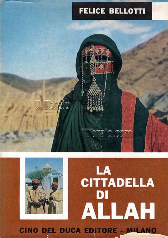 La cittadella di Allah. Viaggio nell'Arabia Saudita - copertina