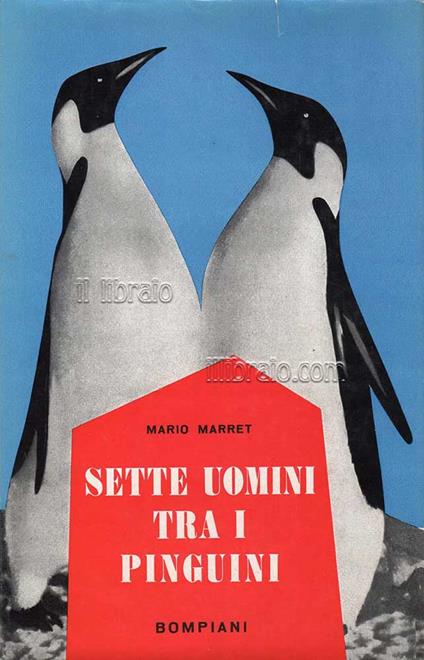 Sette uomini tra i pinguini - copertina