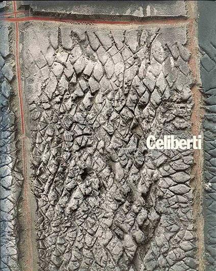 Celiberti, i segni dell'anima - the signs of the soul - copertina
