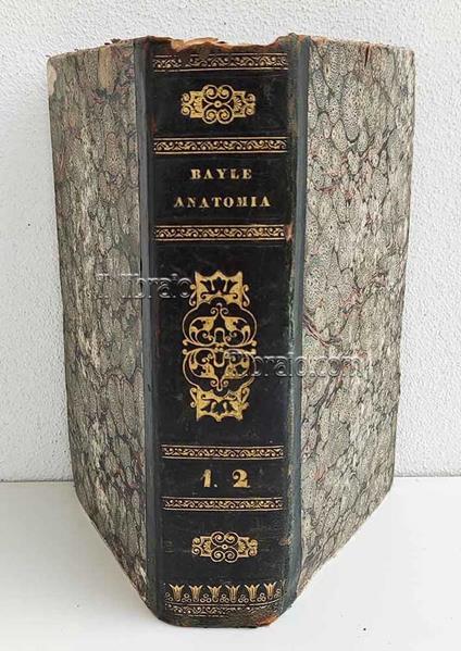 Trattato elementare d'anatomia ovvero descrizione succinta degli organi e degli elementi organici che compongono il corpo umano - copertina