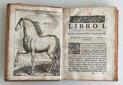 L' arte di ben conoscere e distinguere le qualità dè cavalli, d'introdurre, e conservare una razza nobile, e di risanare il cavallo dà mali, à quali soggiace - copertina