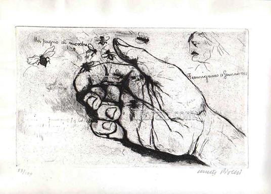 Un pugno di mosche - copertina