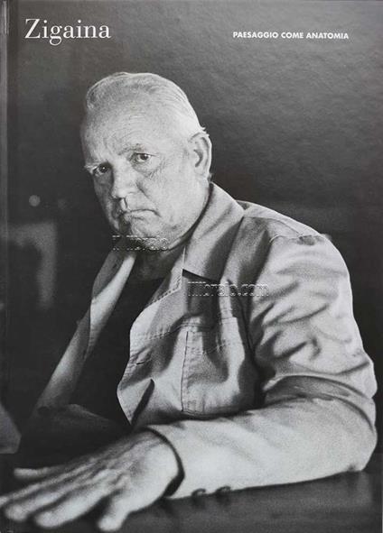 Zigaina. Paesaggio come anatomia - copertina