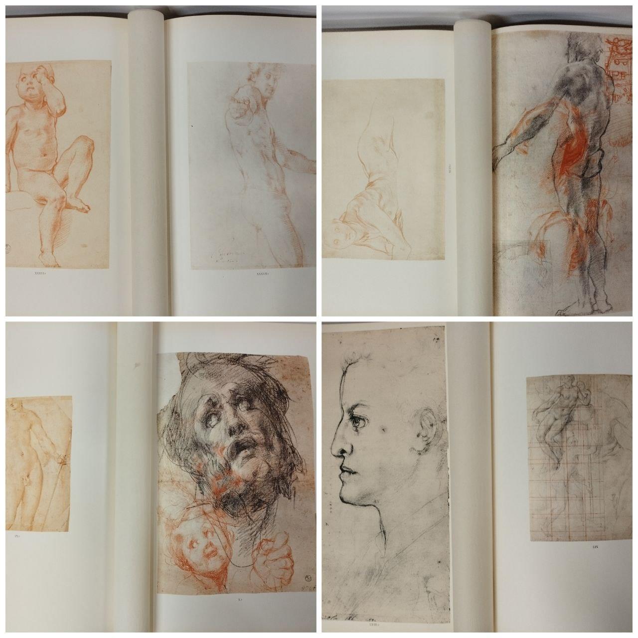 Pontormo disegni