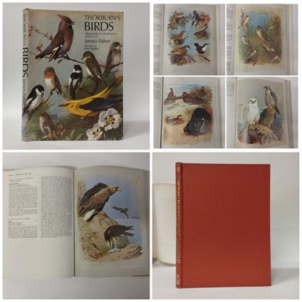 Thorburn's Birds - James Fisher - copertina
