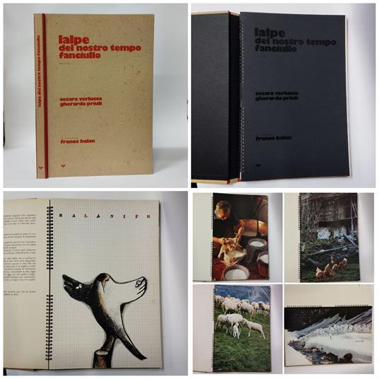 L’Alpe del nostro tempo fanciullo - copertina