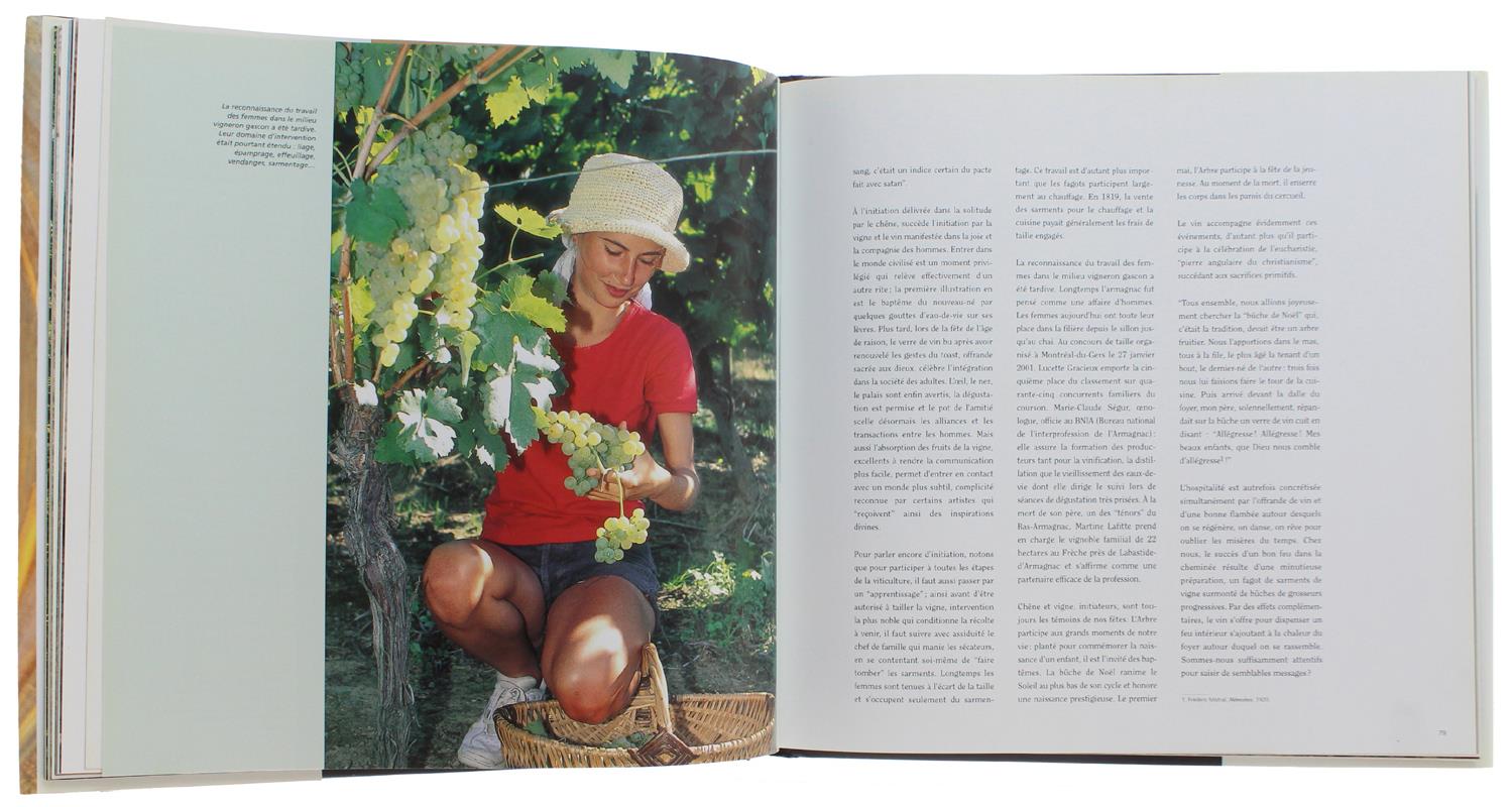 ARMAGNAC : Les Noces de la vigne, du chêne et de l'homme [comme neuf]