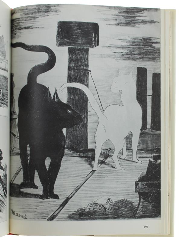 LA COLLEZIONE DI STAMPE. Guida allo studio dell'incisione antica e moderna