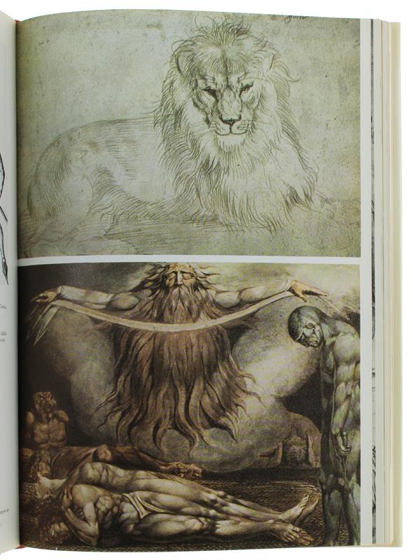 LA COLLEZIONE DI STAMPE. Guida allo studio dell'incisione antica e moderna