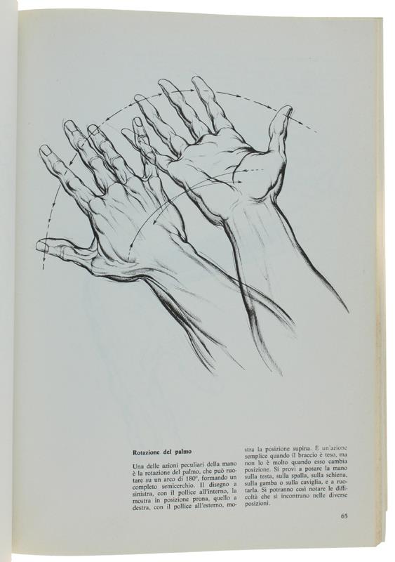LA MANO IN MOVIMENTO. Corso avanzato di disegno anatomico