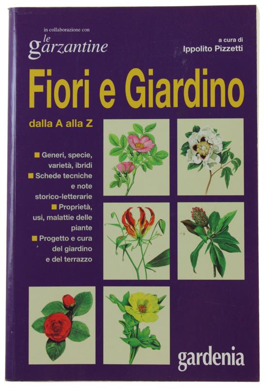 Bergoglio Libri d'Epoca Snc