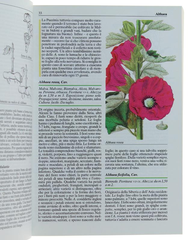 ENCICLOPEDIA DEI FIORI E DEL GIARDINO. 500 generi, 2000 specie, 1150 illustrazioni a colori e in nero, 5 appendici
