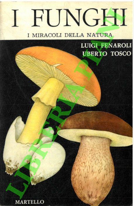 Libreria Piani