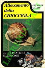 L' allevamento della chiocciola.