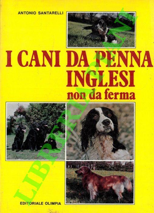 Libreria Piani