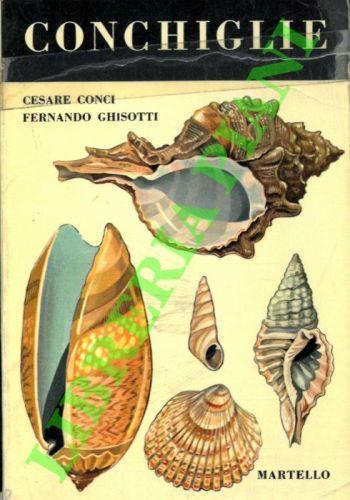 Conchiglie - Cesare Conci - copertina