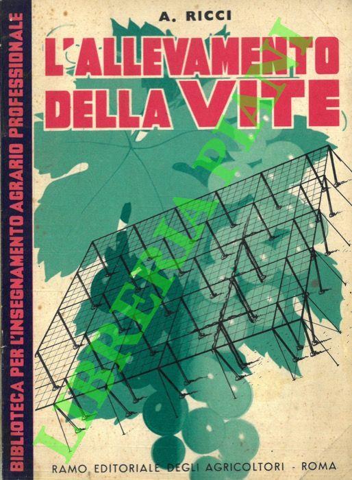 Libreria Piani