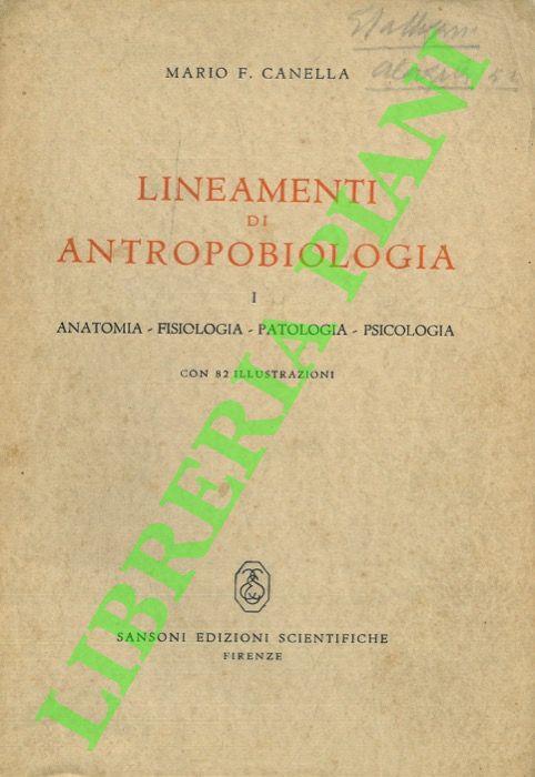 Libreria Piani