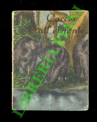 Caccia all'elefante - copertina