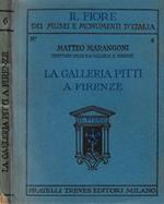 La Galleria Pitti a Firenze