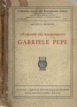 Un Grande Del Risorgimento Gabriele Pepe