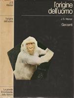 L' origine dell'uomo