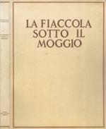 La fiaccola sotto il moggio (1905)