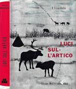 Luci sull'artico