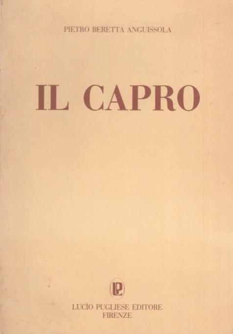 Arca dei libri
