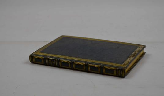 Elogio primo (e secondo) di S. Vincenzo de' Paoli fondatore de' Signori della Missione di Evasio Leone carmelitano - copertina