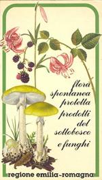 Flora Spontanea Protetta, Prodotti Del Sottobosco E Funghi