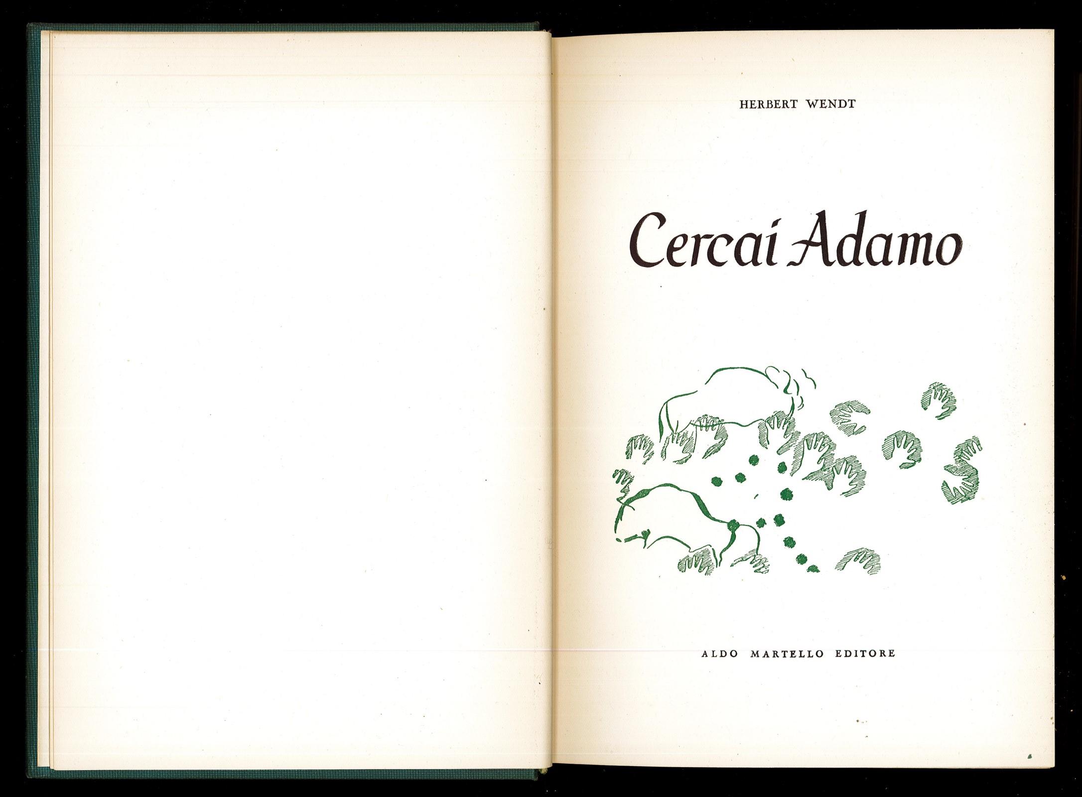 Libreria Trippini Sergio