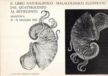 Naturalistico/Malacologico Quattrocento Settecento - copertina